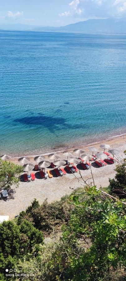 Koralli Beach Niforeika Zewnętrze zdjęcie